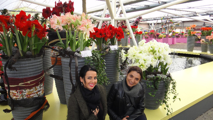 DSC00712 - Expozitie de crini