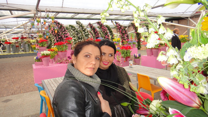 DSC00725 - Expozitie de crini