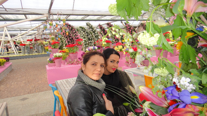 DSC00726 - Expozitie de crini