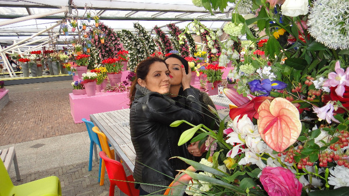 DSC00727 - Expozitie de crini