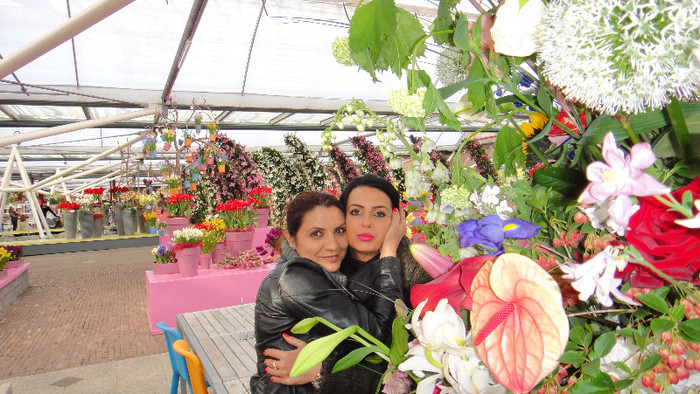 DSC00728 - Expozitie de crini