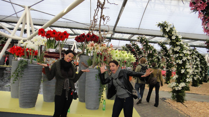 DSC00731 - Expozitie de crini