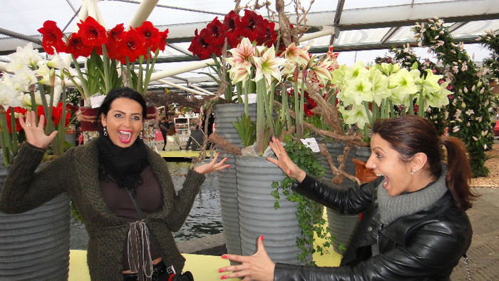 DSC00732 - Expozitie de crini