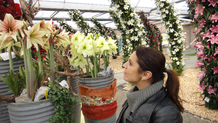 DSC00733 - Expozitie de crini