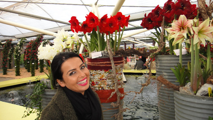 DSC00735 - Expozitie de crini