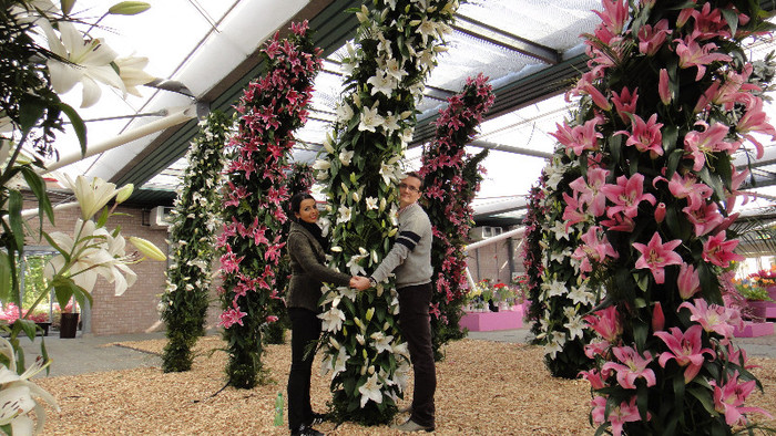 DSC00736 - Expozitie de crini