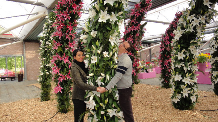 DSC00737 - Expozitie de crini