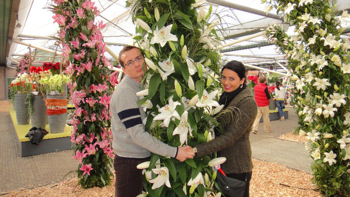 DSC00738 - Expozitie de crini