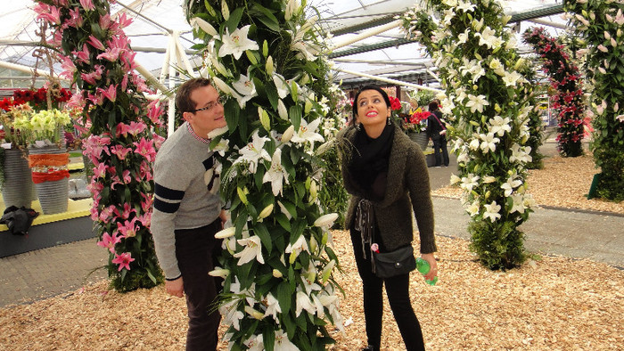 DSC00739 - Expozitie de crini