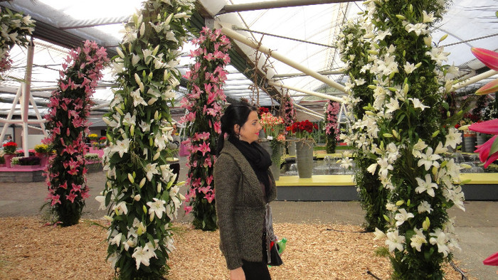 DSC00740 - Expozitie de crini