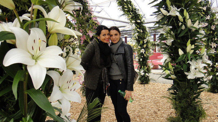 DSC00743 - Expozitie de crini