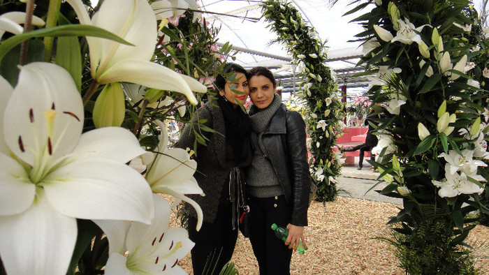 DSC00744 - Expozitie de crini