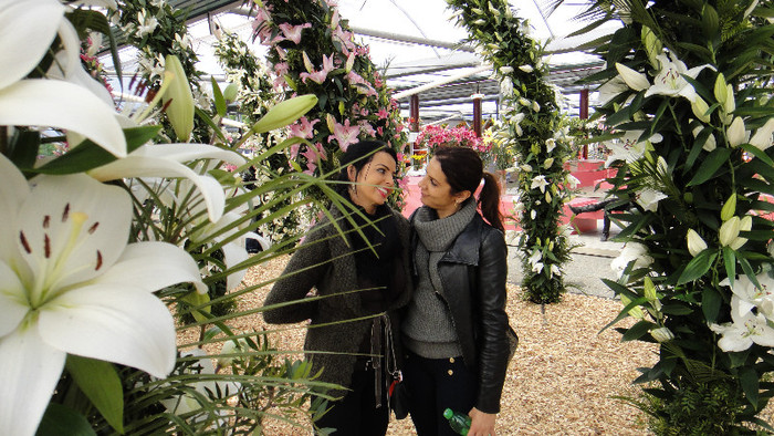 DSC00745 - Expozitie de crini