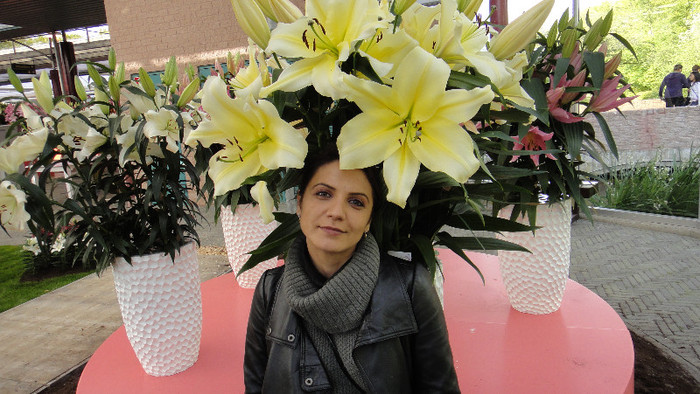 DSC00749 - Expozitie de crini