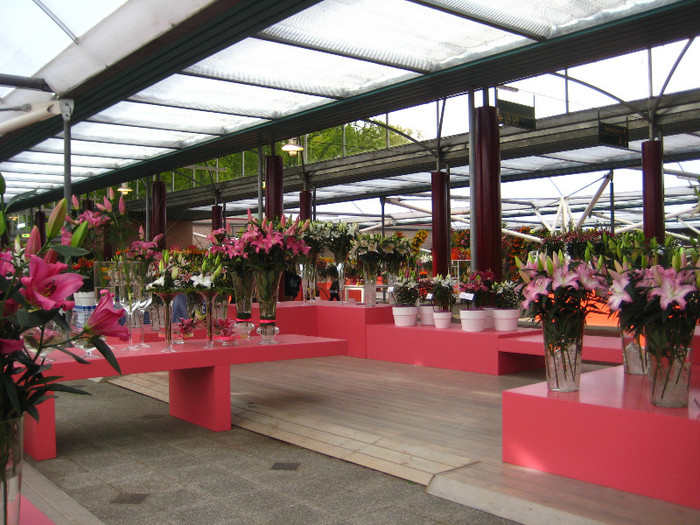 IMG_9509 - Expozitie de crini