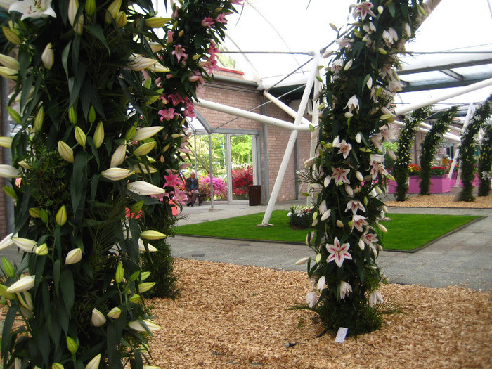 IMG_9511 - Expozitie de crini