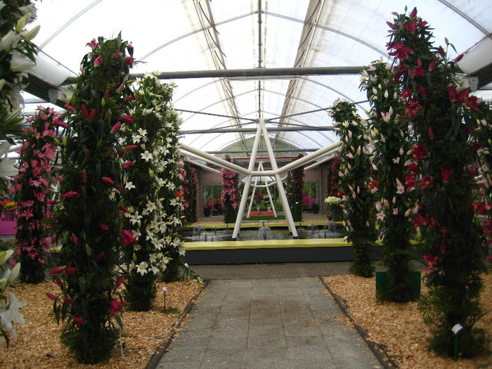 IMG_9516 - Expozitie de crini