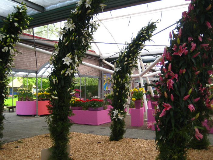 IMG_9518 - Expozitie de crini