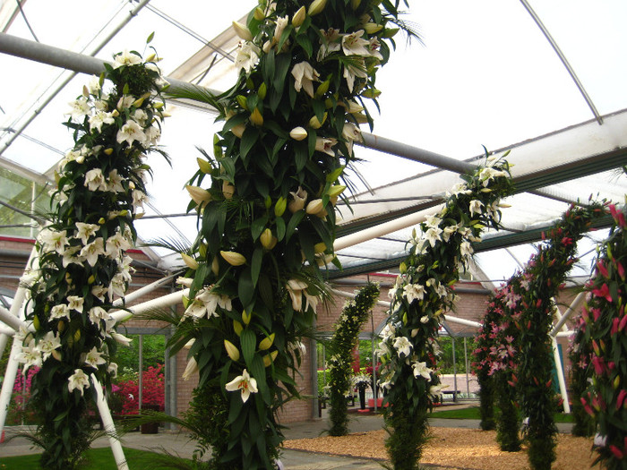 IMG_9534 - Expozitie de crini