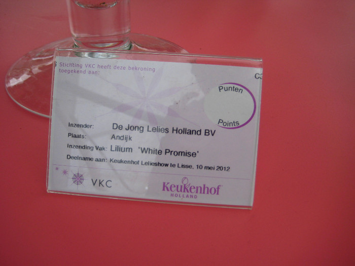 IMG_9551 - Expozitie de crini