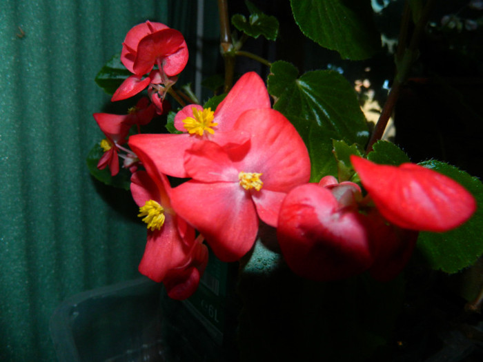 DSCN8309