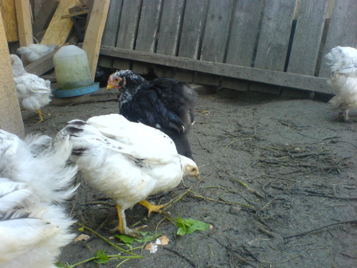 DSC02755