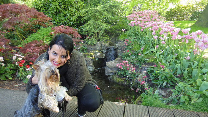 DSC00466 - Keukenhof 2012