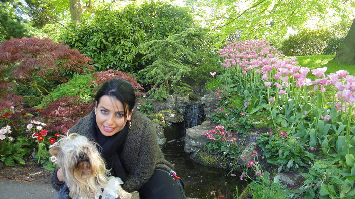 DSC00467 - Keukenhof 2012