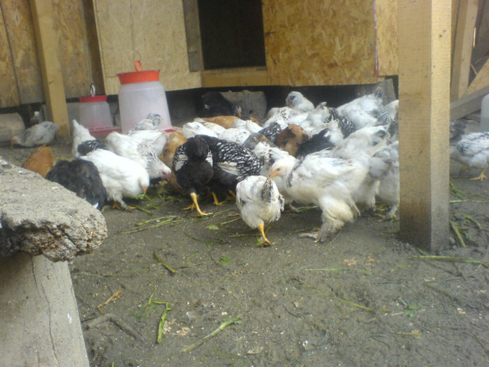 DSC02790