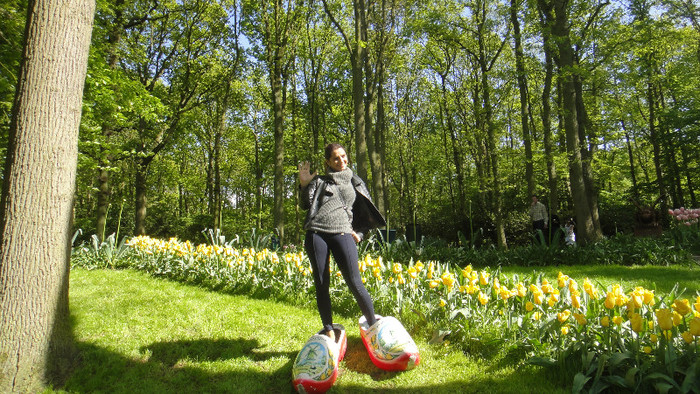 DSC00468 - Keukenhof 2012