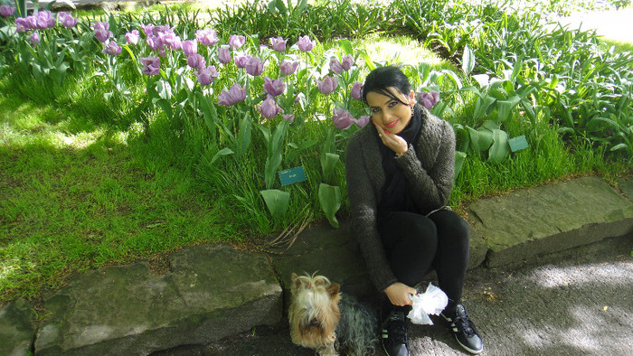 DSC00474 - Keukenhof 2012