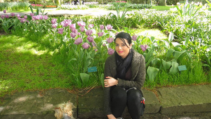 DSC00475 - Keukenhof 2012