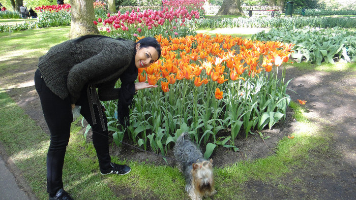 DSC00476 - Keukenhof 2012