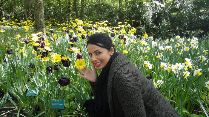DSC00478 - Keukenhof 2012