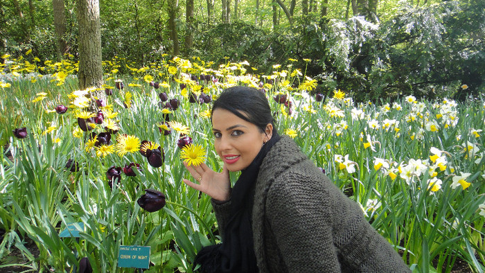 DSC00479 - Keukenhof 2012