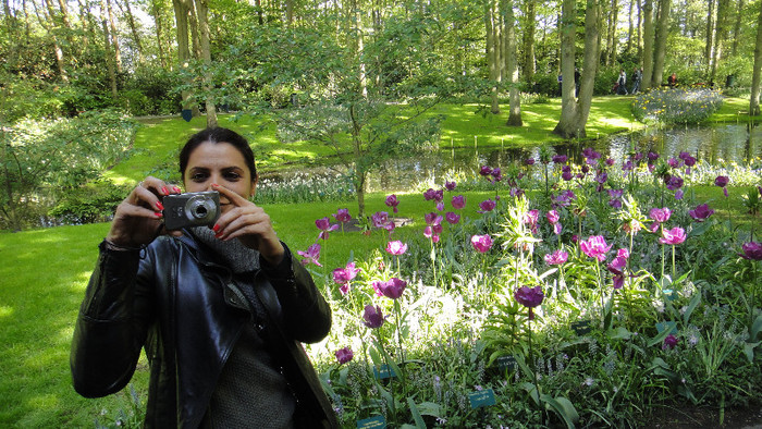 DSC00484 - Keukenhof 2012