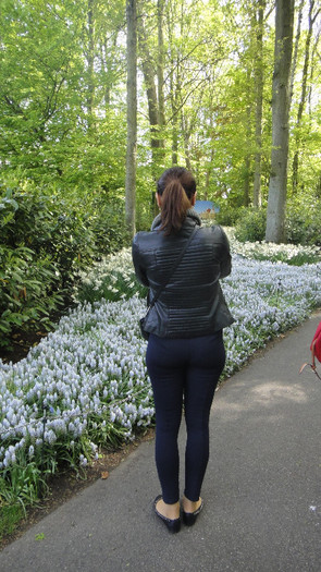 DSC00501 - Keukenhof 2012