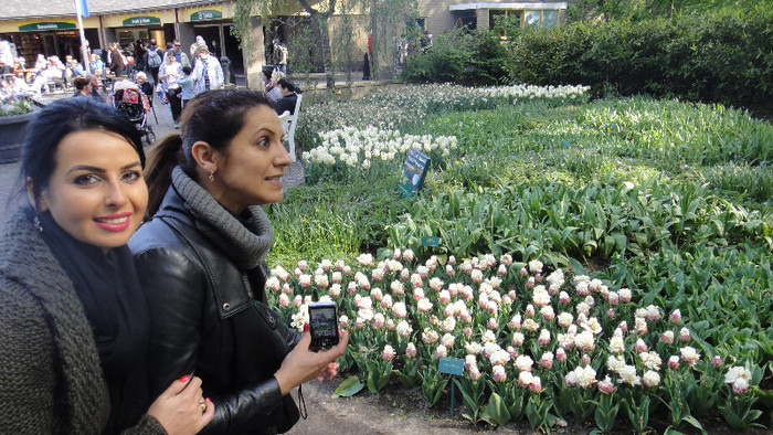 DSC00505 - Keukenhof 2012