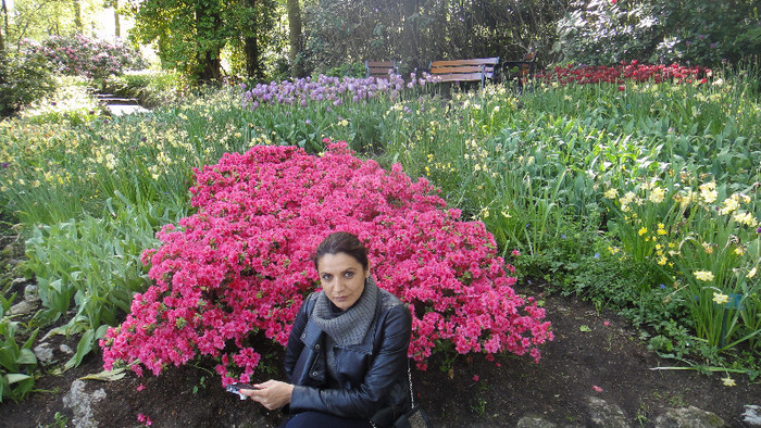 DSC00511 - Keukenhof 2012
