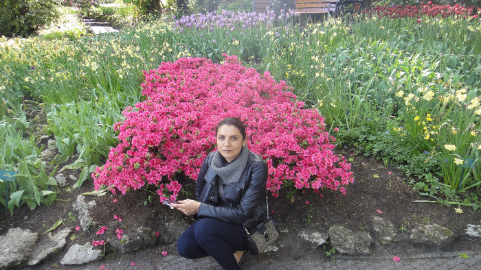 DSC00512 - Keukenhof 2012
