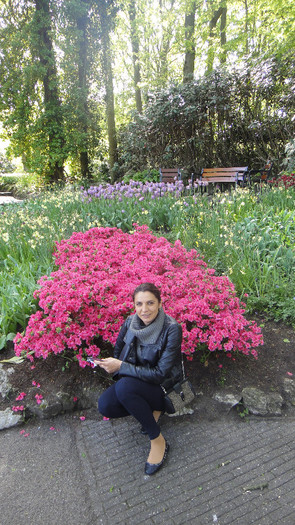 DSC00513 - Keukenhof 2012