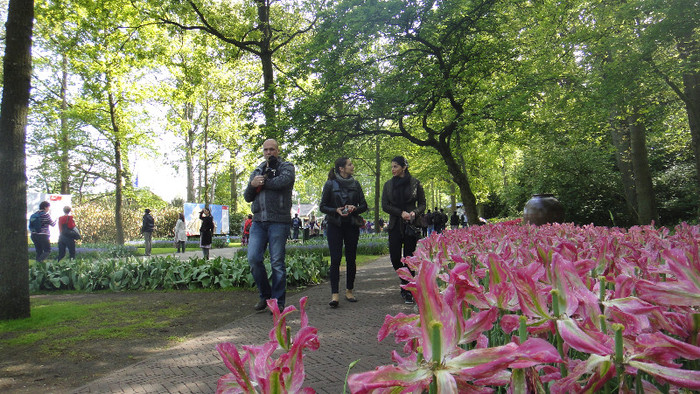 DSC00514 - Keukenhof 2012