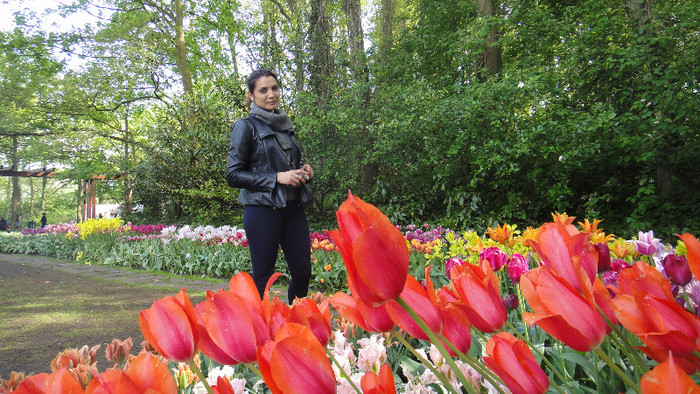DSC00517 - Keukenhof 2012