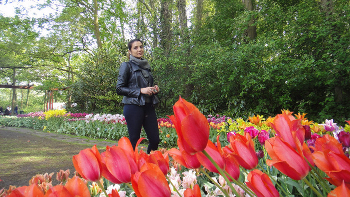 DSC00518 - Keukenhof 2012