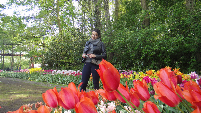 DSC00519 - Keukenhof 2012