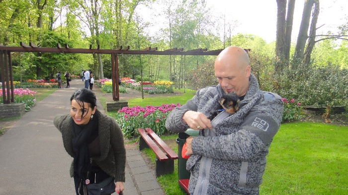 DSC00522 - Keukenhof 2012