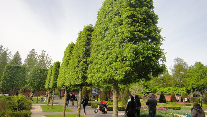 DSC00535 - Keukenhof 2012
