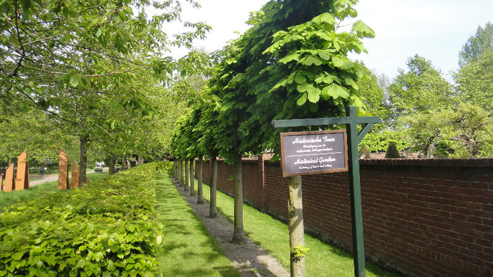 DSC00538 - Keukenhof 2012