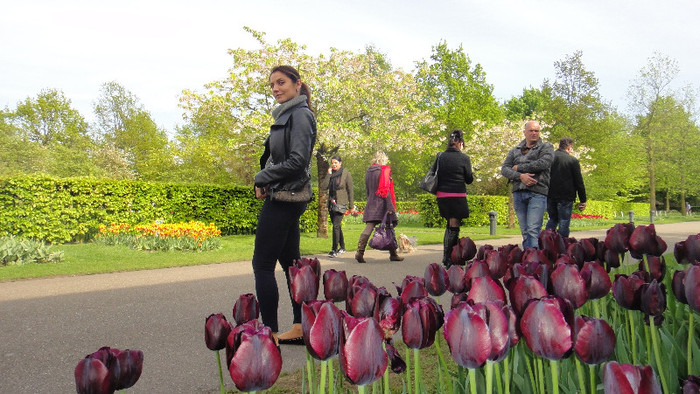 DSC00543 - Keukenhof 2012