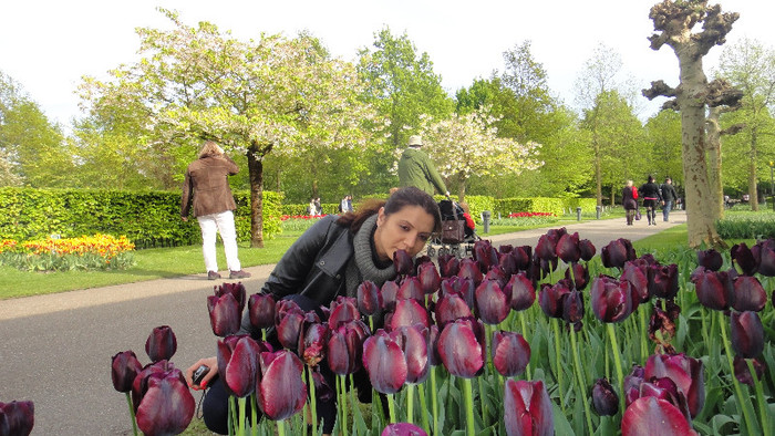 DSC00545 - Keukenhof 2012
